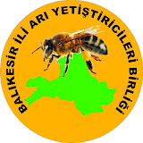 BALIKESİR ARI YETİŞ